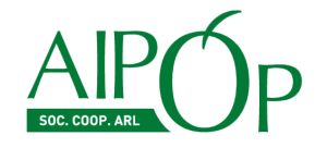 aipo-op-ultimo
